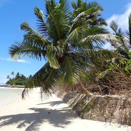 Hcs Bungalows Turtle Bay Rustic Bungalow Au Cap Zewnętrze zdjęcie