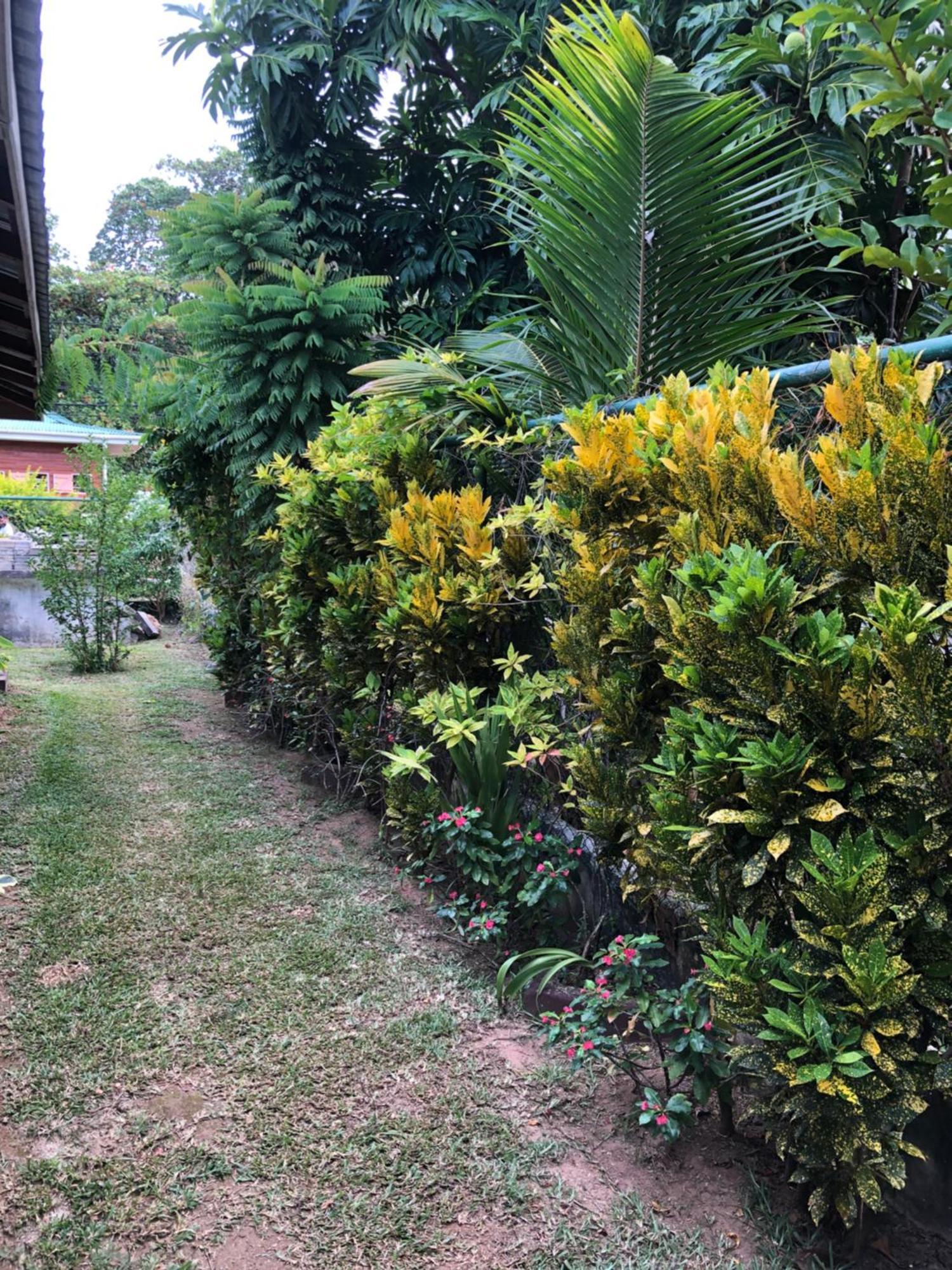 Hcs Bungalows Turtle Bay Rustic Bungalow Au Cap Zewnętrze zdjęcie