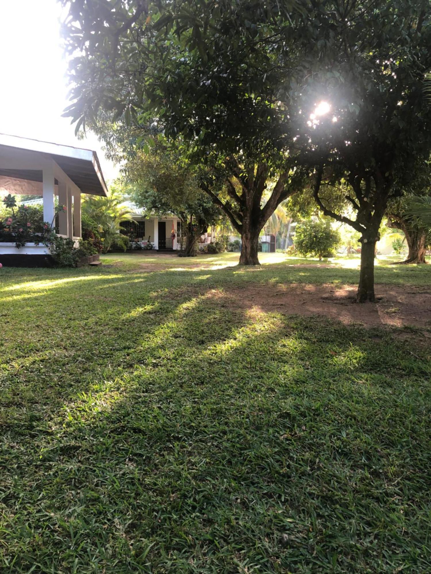Hcs Bungalows Turtle Bay Rustic Bungalow Au Cap Zewnętrze zdjęcie