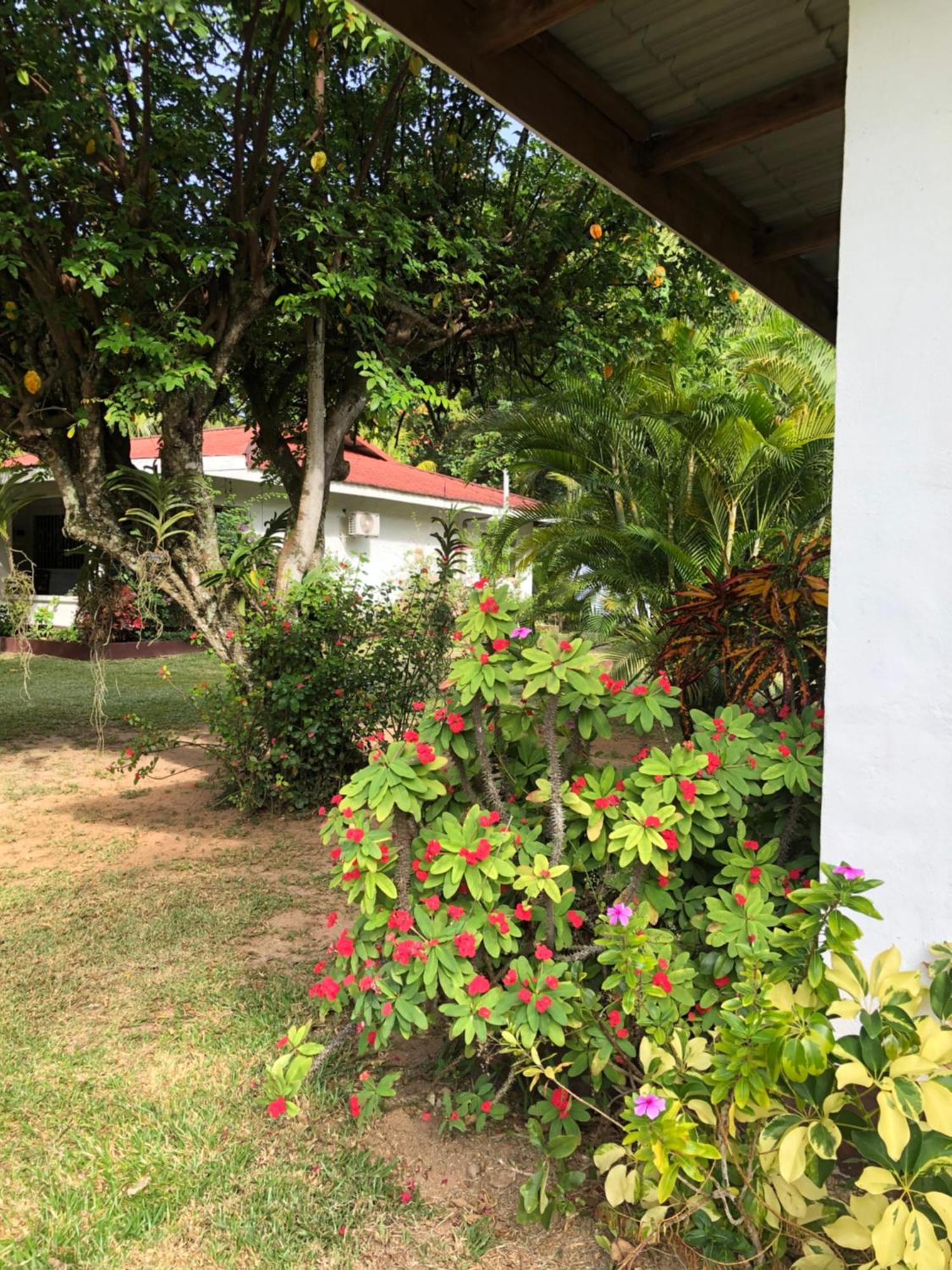 Hcs Bungalows Turtle Bay Rustic Bungalow Au Cap Zewnętrze zdjęcie