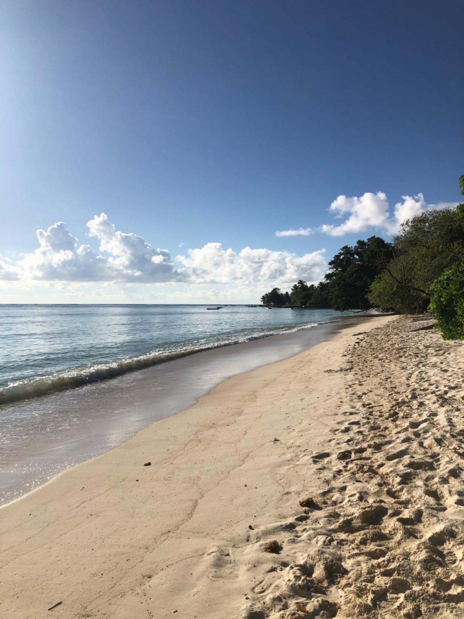 Hcs Bungalows Turtle Bay Rustic Bungalow Au Cap Zewnętrze zdjęcie
