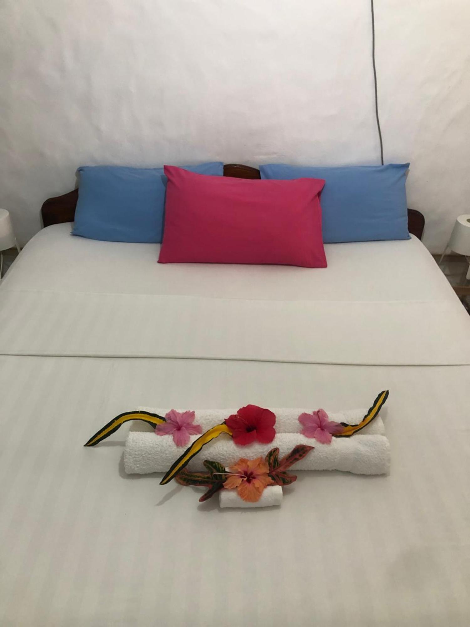 Hcs Bungalows Turtle Bay Rustic Bungalow Au Cap Zewnętrze zdjęcie