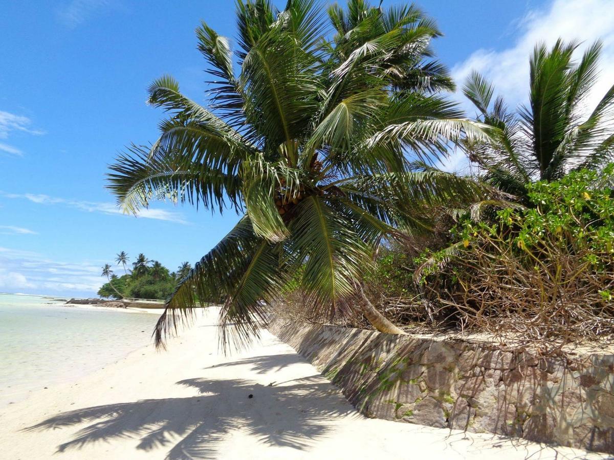 Hcs Bungalows Turtle Bay Rustic Bungalow Au Cap Zewnętrze zdjęcie